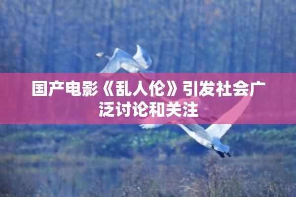 国产电影《乱人伦》引发社会广泛讨论和关注