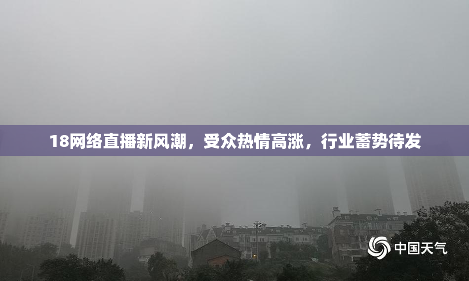 18网络直播新风潮，受众热情高涨，行业蓄势待发