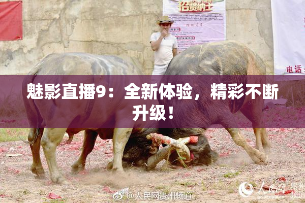 魅影直播9：全新体验，精彩不断升级！