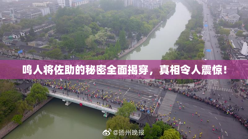 鸣人将佐助的秘密全面揭穿，真相令人震惊！
