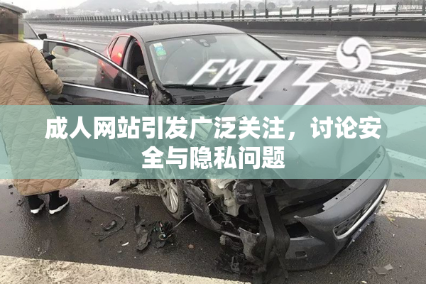 成人网站引发广泛关注，讨论安全与隐私问题