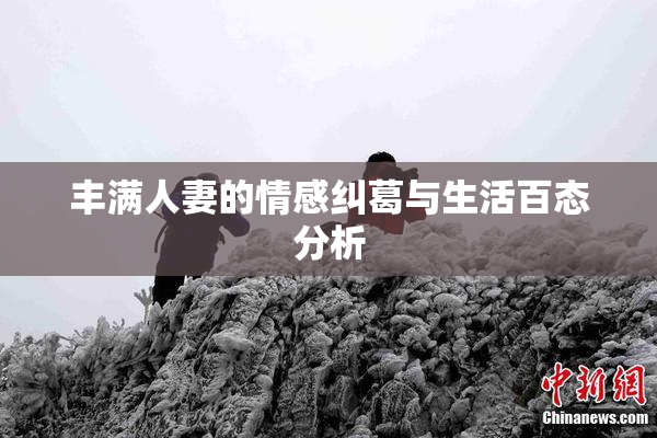 丰满人妻的情感纠葛与生活百态分析
