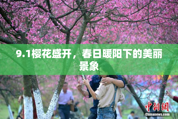 9.1樱花盛开，春日暖阳下的美丽景象