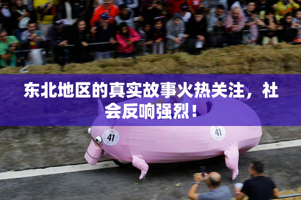 东北地区的真实故事火热关注，社会反响强烈！
