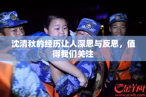 沈清秋的经历让人深思与反思，值得我们关注