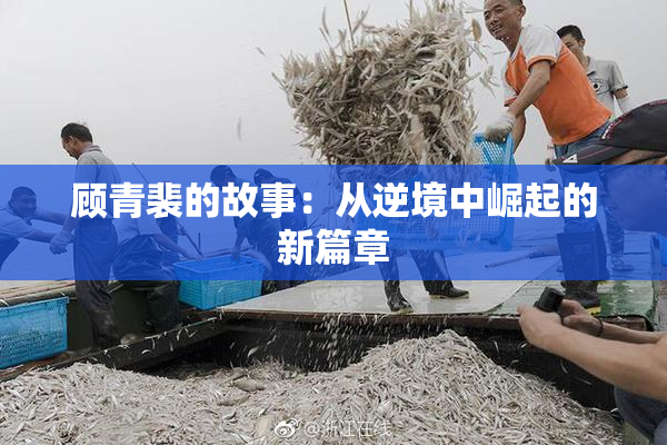 顾青裴的故事：从逆境中崛起的新篇章