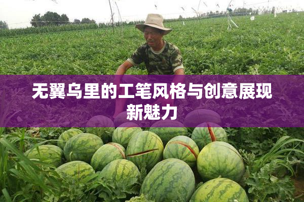 无翼乌里的工笔风格与创意展现新魅力