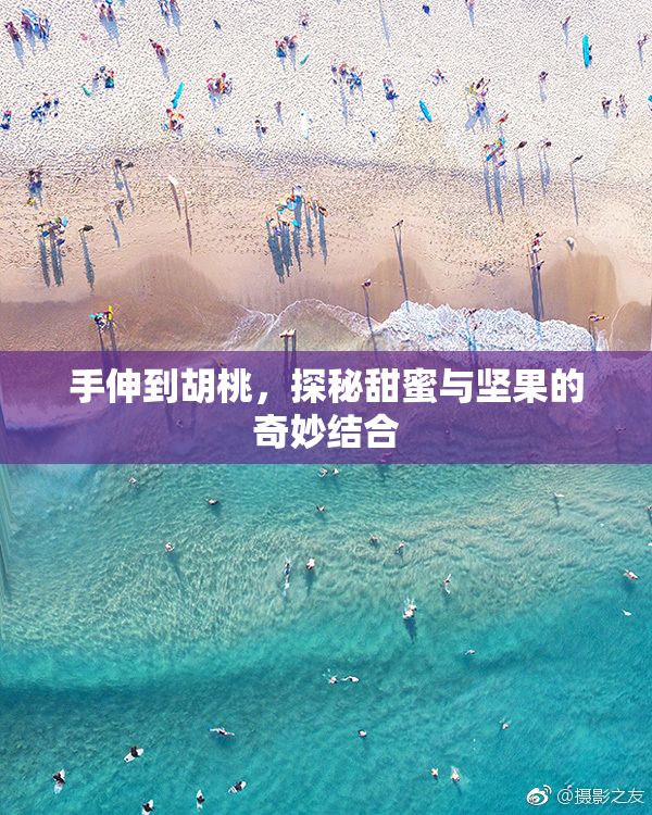 手伸到胡桃，探秘甜蜜与坚果的奇妙结合