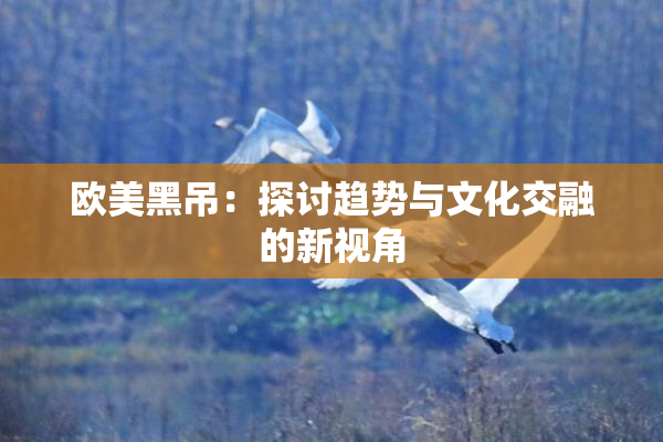 欧美黑吊：探讨趋势与文化交融的新视角