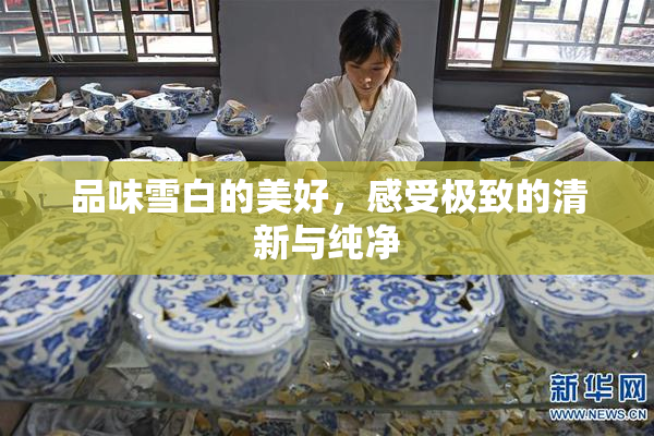 品味雪白的美好，感受极致的清新与纯净