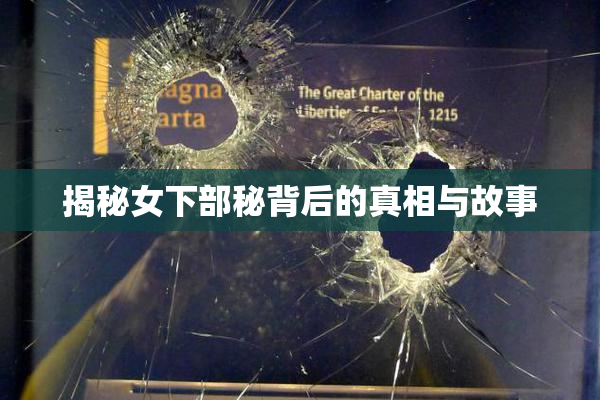 揭秘女下部秘背后的真相与故事