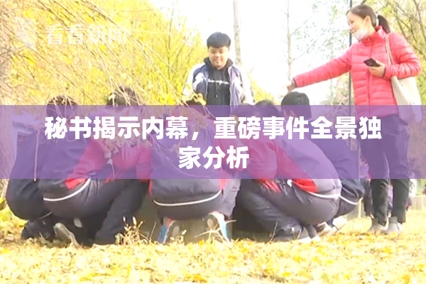 秘书揭示内幕，重磅事件全景独家分析