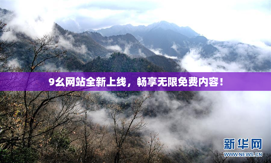 9幺网站全新上线，畅享无限免费内容！