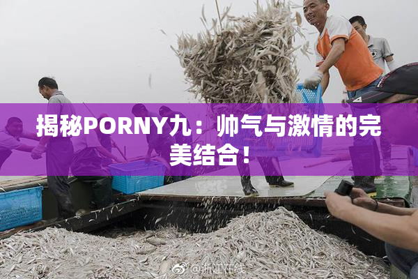 揭秘PORNY九：帅气与激情的完美结合！