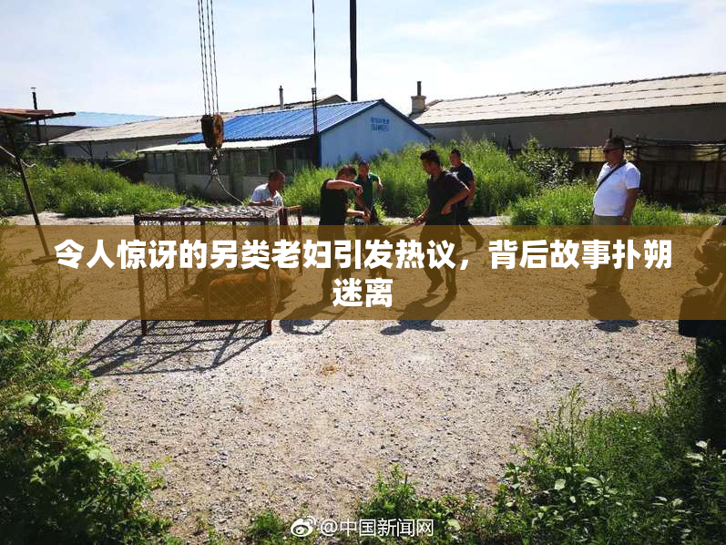 令人惊讶的另类老妇引发热议，背后故事扑朔迷离