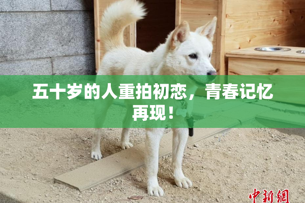 五十岁的人重拍初恋，青春记忆再现！