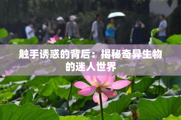 触手诱惑的背后：揭秘奇异生物的迷人世界