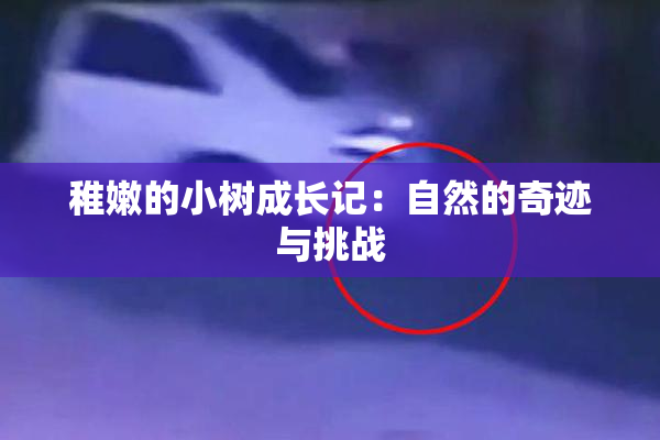 稚嫩的小树成长记：自然的奇迹与挑战