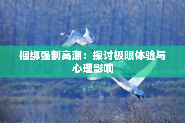 捆绑强制高潮：探讨极限体验与心理影响