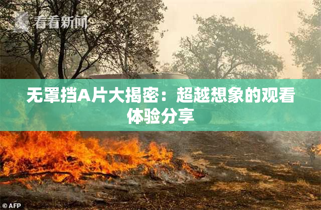 无罩挡A片大揭密：超越想象的观看体验分享
