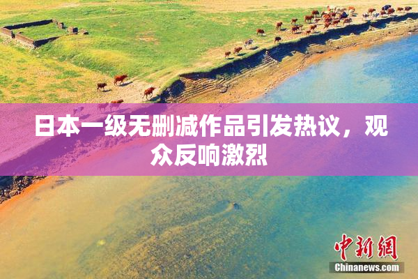 日本一级无删减作品引发热议，观众反响激烈