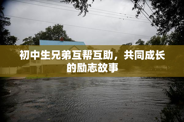 初中生兄弟互帮互助，共同成长的励志故事