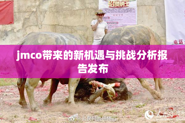 jmco带来的新机遇与挑战分析报告发布