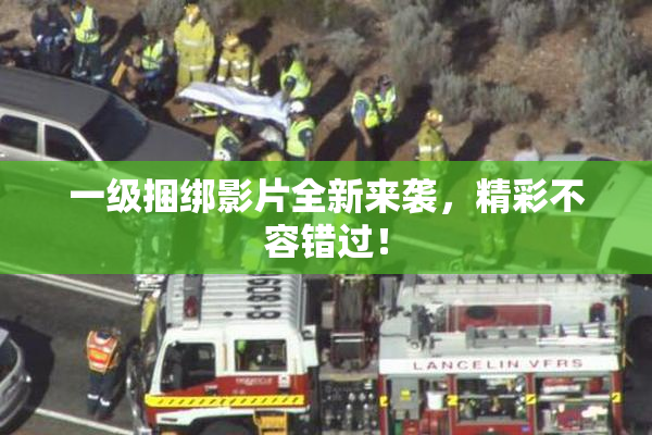 一级捆绑影片全新来袭，精彩不容错过！