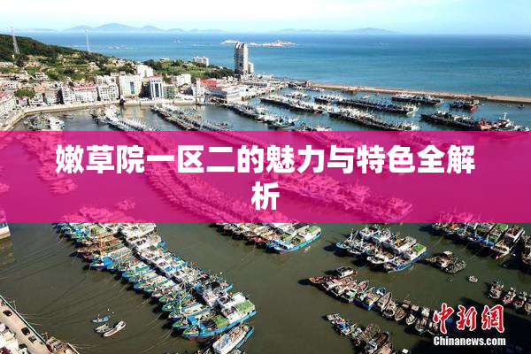 嫩草院一区二的魅力与特色全解析