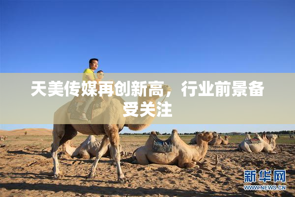 天美传媒再创新高，行业前景备受关注