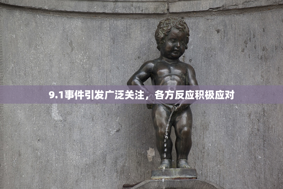 9.1事件引发广泛关注，各方反应积极应对