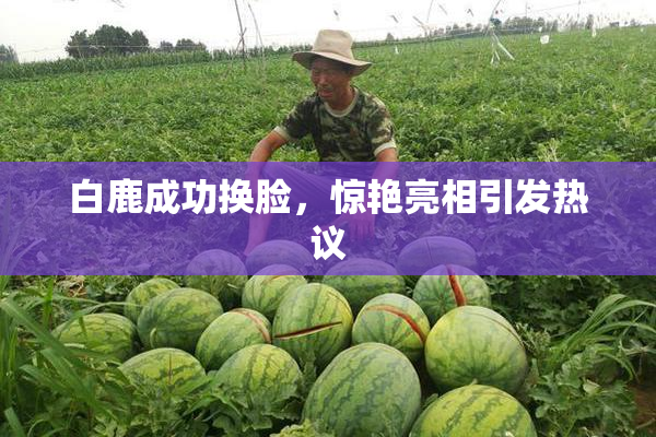 白鹿成功换脸，惊艳亮相引发热议