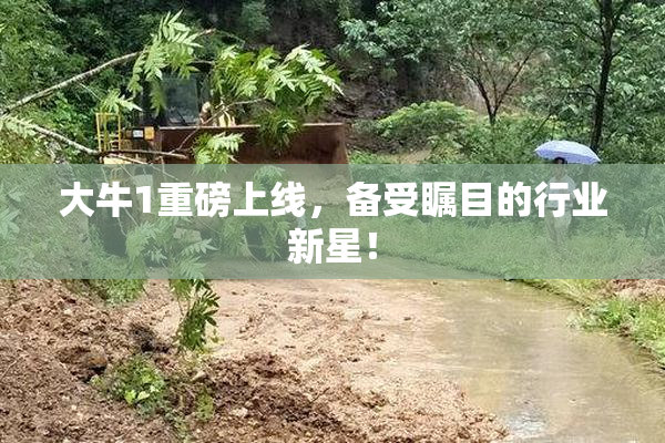 大牛1重磅上线，备受瞩目的行业新星！