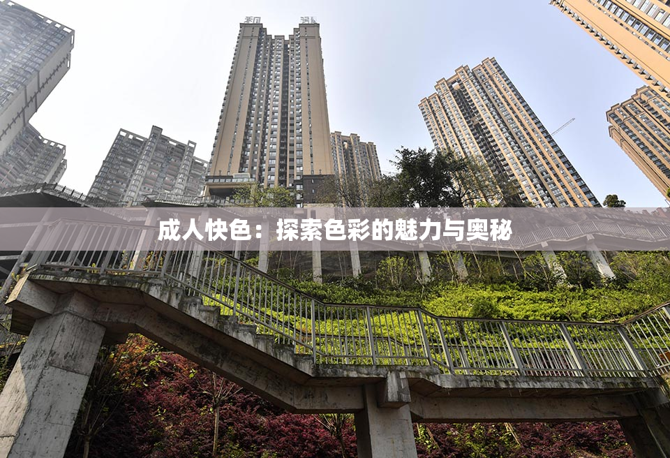 成人快色：探索色彩的魅力与奥秘