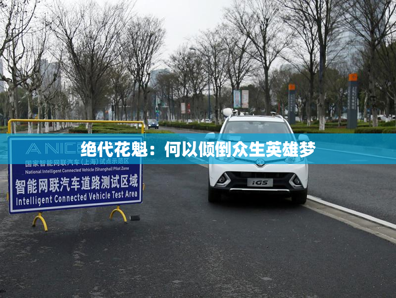 绝代花魁：何以倾倒众生英雄梦