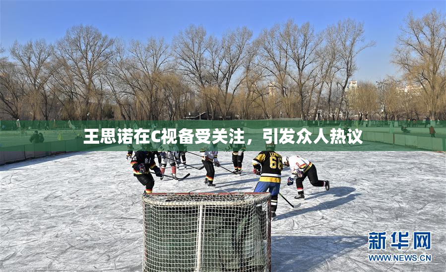 王思诺在C视备受关注，引发众人热议