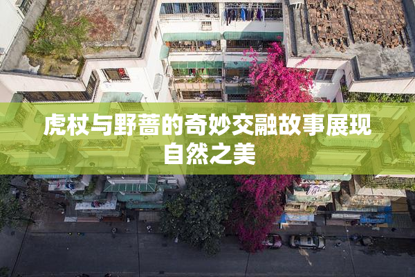 虎杖与野蔷的奇妙交融故事展现自然之美