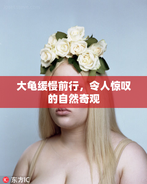 大龟缓慢前行，令人惊叹的自然奇观