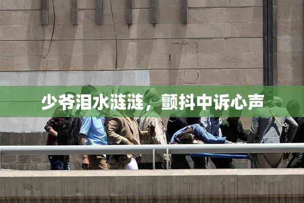少爷泪水涟涟，颤抖中诉心声