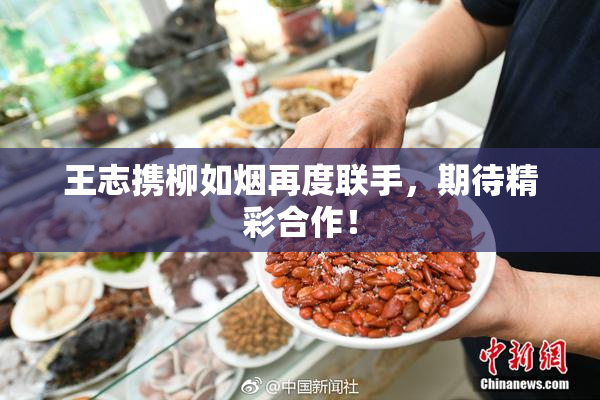 王志携柳如烟再度联手，期待精彩合作！