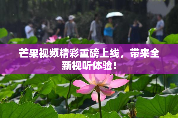 芒果视频精彩重磅上线，带来全新视听体验！