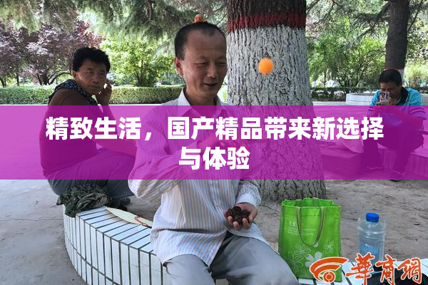 精致生活，国产精品带来新选择与体验