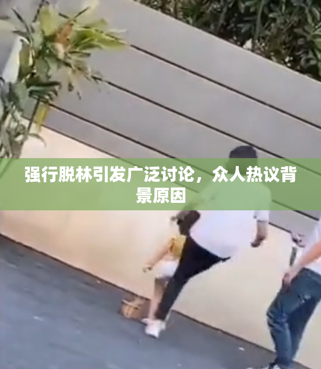 强行脱林引发广泛讨论，众人热议背景原因