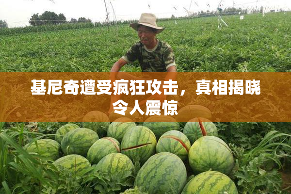 基尼奇遭受疯狂攻击，真相揭晓令人震惊
