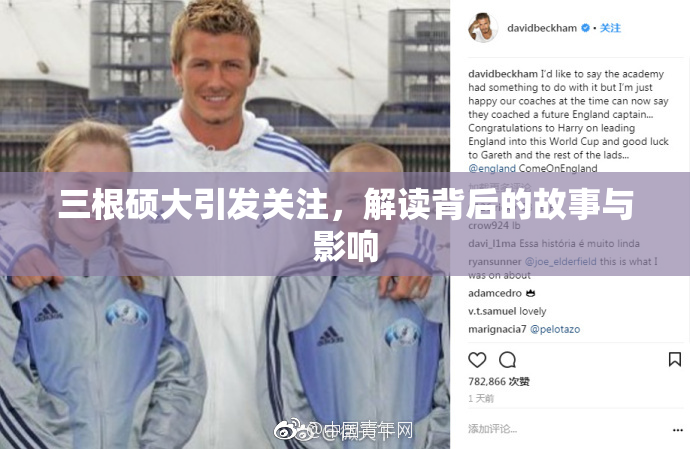 三根硕大引发关注，解读背后的故事与影响
