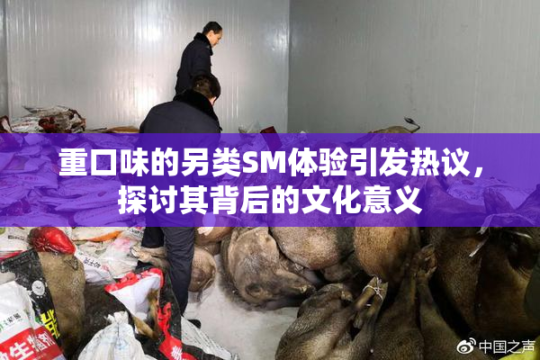 重口味的另类SM体验引发热议，探讨其背后的文化意义