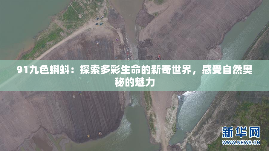 91九色蝌蚪：探索多彩生命的新奇世界，感受自然奥秘的魅力