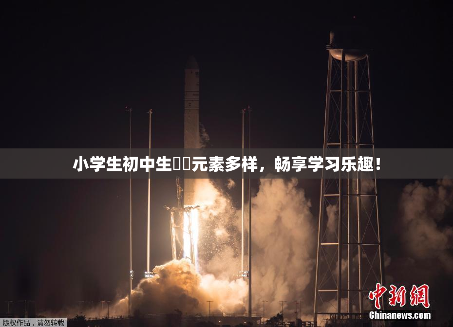 小学生初中生❌‌元素多样，畅享学习乐趣！