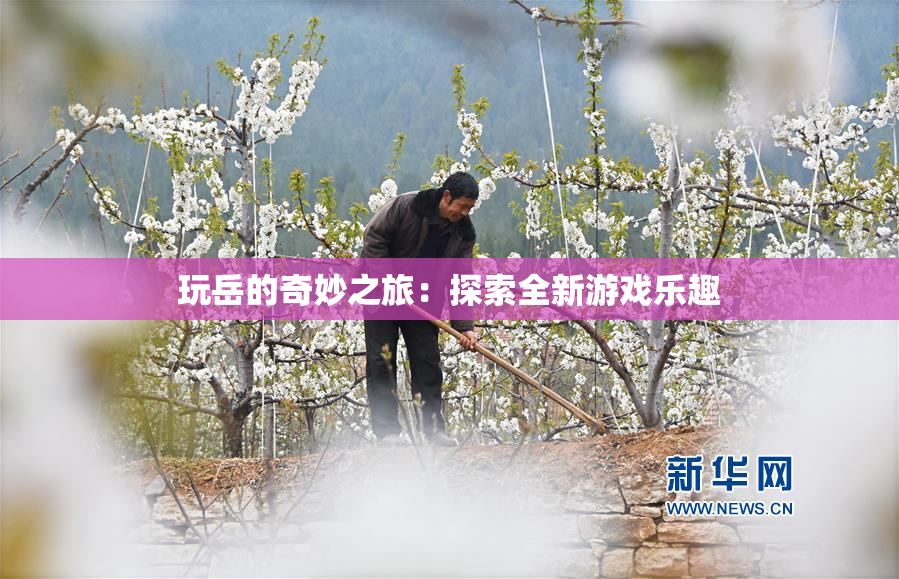 玩岳的奇妙之旅：探索全新游戏乐趣