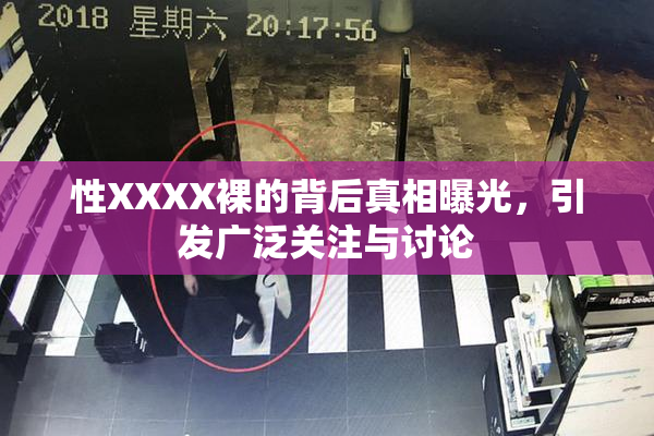 性XXXX裸的背后真相曝光，引发广泛关注与讨论